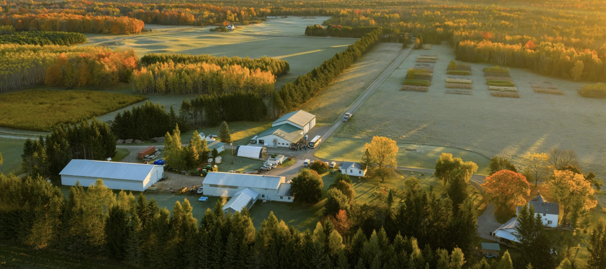 Predicting Syrup Quality